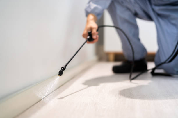 Bed Bug Pre-Treatment Preparation Assessment in Marvell