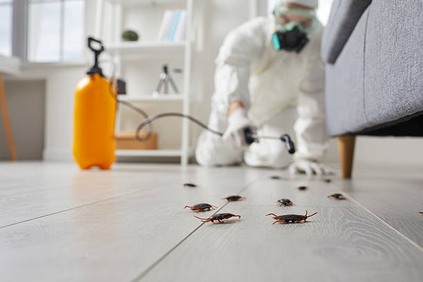 Post-Treatment Bed Bug Interceptor Monitoring in Marvell