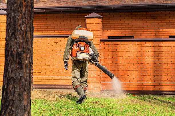 Bed Bug Clearance Verification and Documentation in Marvell